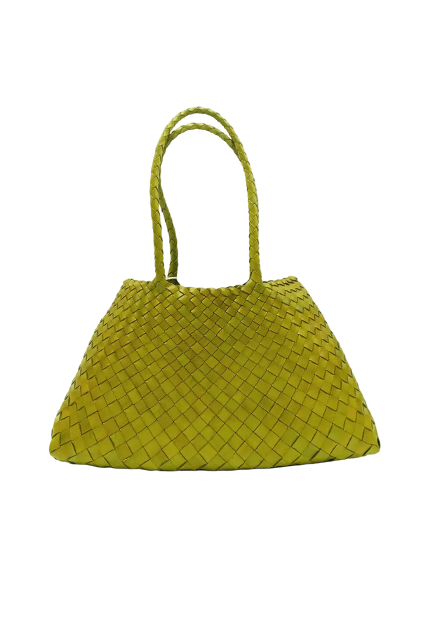 Dragon Diffusion - Santa Croce Big Bamboo