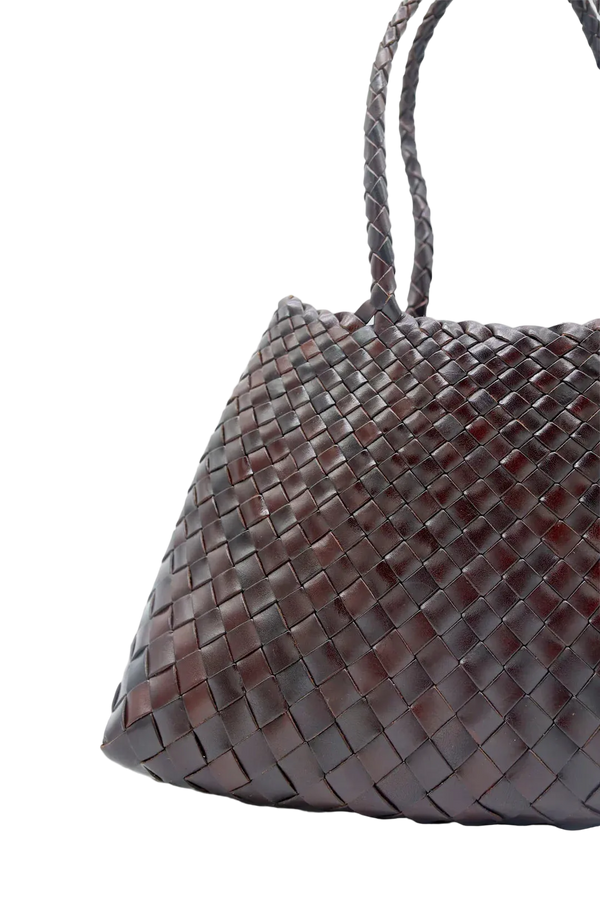 Dragon Diffusion - Santa Croce Big Brown