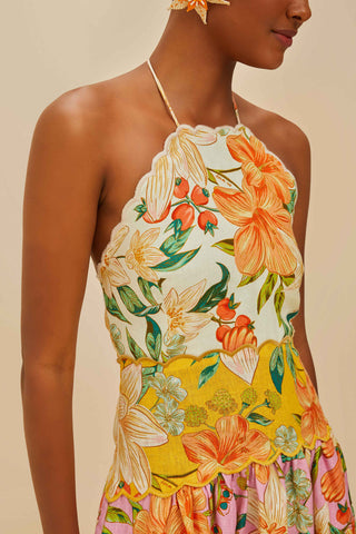 Guaragarden Midi Dress