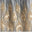 Stone/Gold