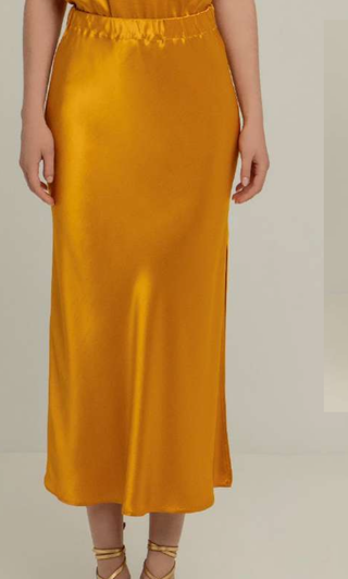Satin Skirt Long Elasticated Waist